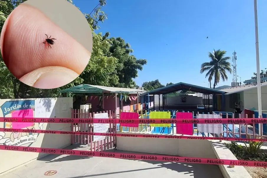 Garrapatas en Escuelas de Los Cabos