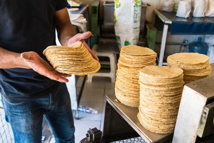 Tortillas de tortillería vs. supermercado: ¿cuál es la mejor opción para tu salud?