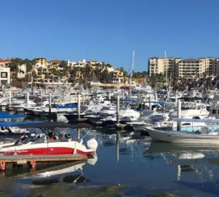 Falta de limpieza en Los Cabos