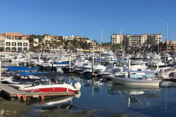 Falta de limpieza en Los Cabos