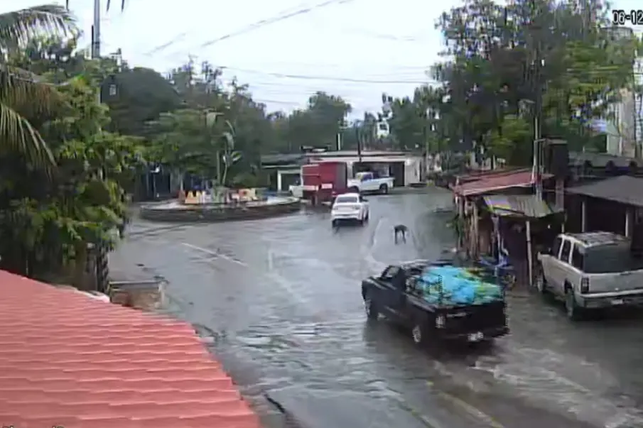 Revelan traslado de explosivos ocultos entre plátanos antes de estallar en Coahuayana