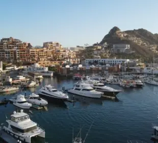 Asipona Cabo San Lucas