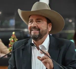 reforma constitucional para eliminar candidaturas comunes BCS