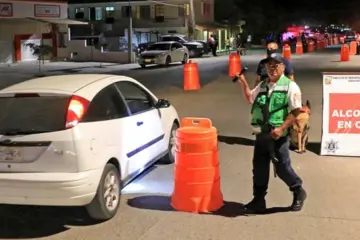 alcoholimetro Los Cabos