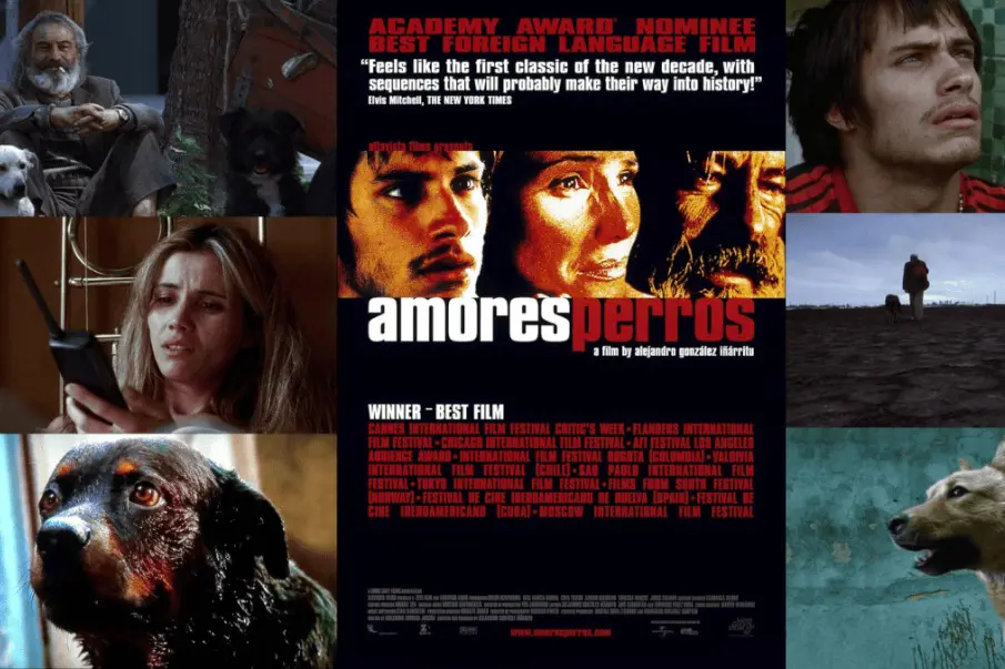 Amores Perros Festival Internacional de Cine de Los Cabos