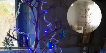 El Árbol de Navidad choyero, símbolo de identidad y tradición en BCS