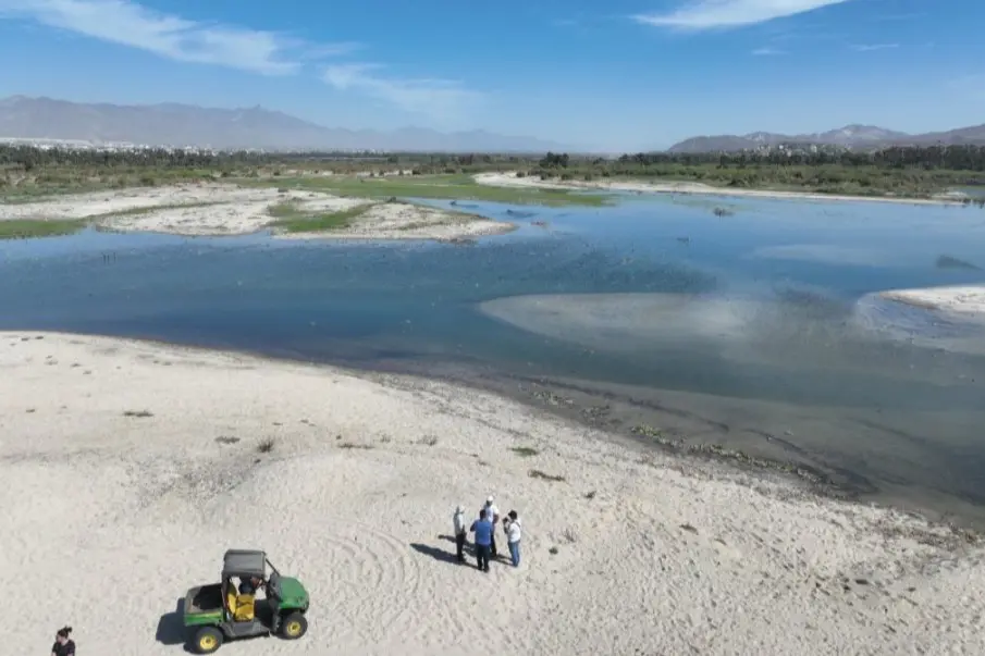 Cibnor Estero San José del Cabo
