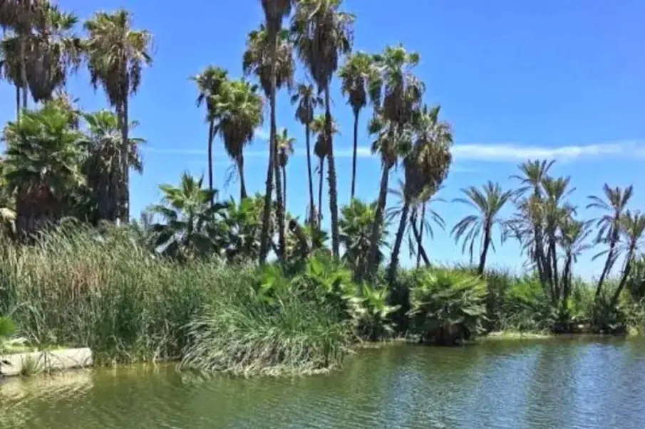 plan de regeneración para el Estero Josefino