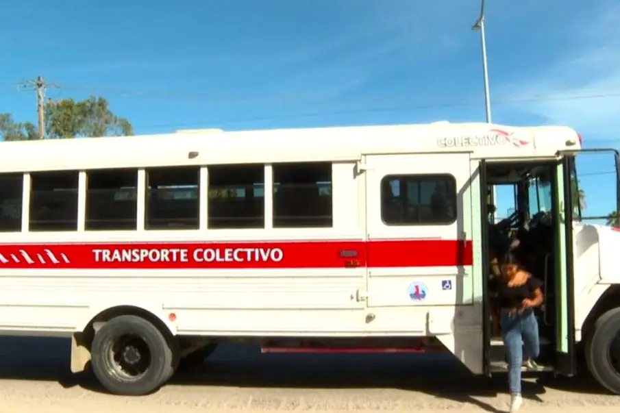 Transporte Público San José del Cabo