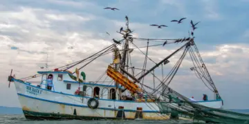 Veda en costas de BCS