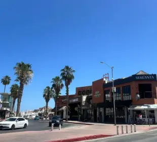 Temporada alta centro de CSL