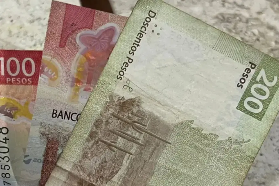 Cuesta de Enero Los Cabos