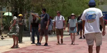 Asipona Cabo San Lucas