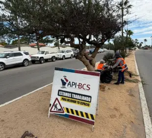 API BCS limpieza zona turistica Los Cabos