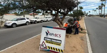 API BCS limpieza zona turistica Los Cabos