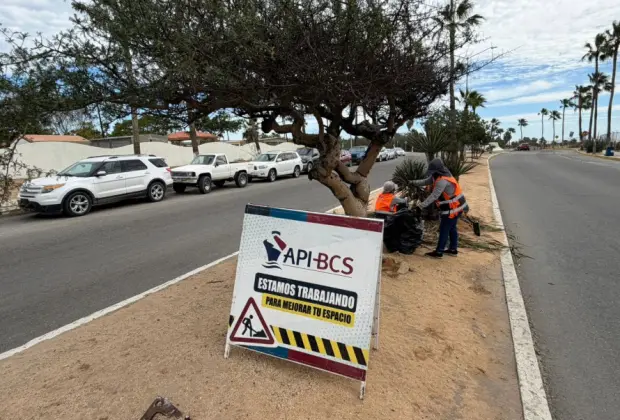 API BCS limpieza zona turistica Los Cabos