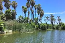 Incendios Forestales Estero San José