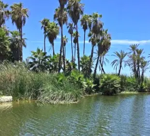 Incendios Forestales Estero San José