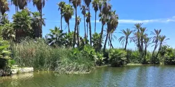 Incendios Forestales Estero San José