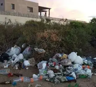 Multarán con 9 mil pesos a dueños de predios con basura en La Paz: Milena Quiroga