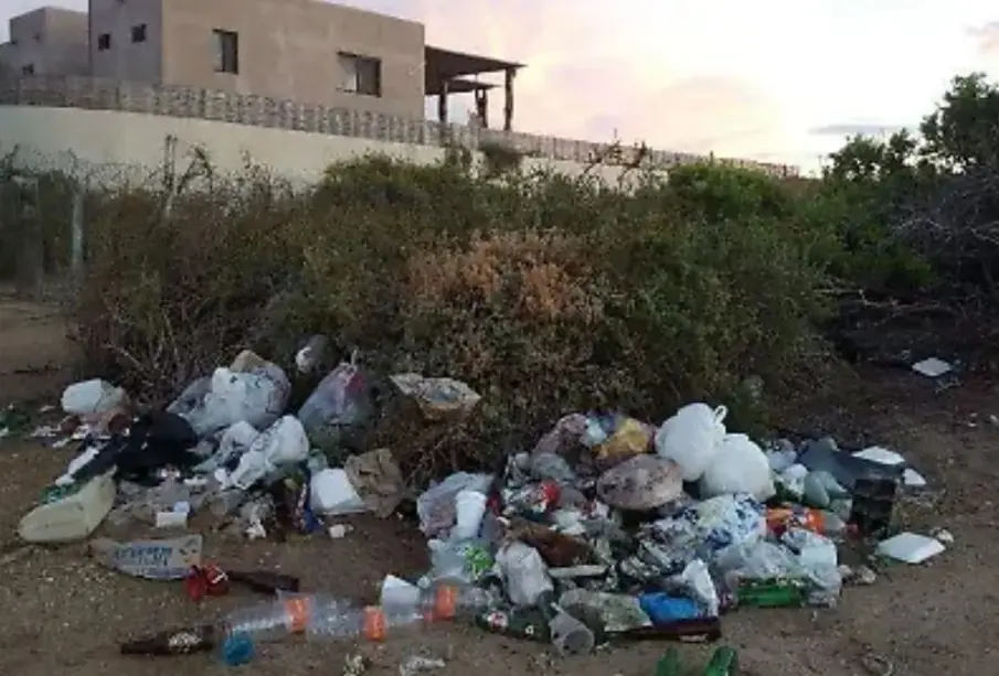 Multarán con 9 mil pesos a dueños de predios con basura en La Paz: Milena Quiroga