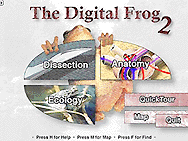 The opening page of the CD-ROM entitled "The Digital Frog 2." The CD-ROM can be used as a "virtual scalpel" by high school students to slice into an image of a frog rather than operating on a real amphibian, as part of a biology class.  AP/PTI