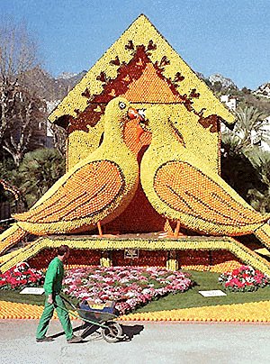   MENTON, FRANCE : A gardener looks at the citrus fruit tableau depicting "The two pigeons" from  La Fontaines's  fable, in the Bioves garden of Menton, during the 67th Lemon Festival in Menton, French riviera, Thursday February 10, 2000. 120 metric tonnes of lemons and oranges imported from Spain, are required for the festival. AP/PTI