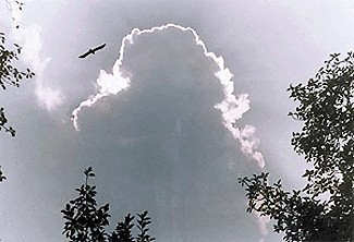 The day was sunny on Wednesday. But during a brief period in the morning, the clouds formed a veil around the sun. The rays fought the clouds. The result: a massive human form over the City Beautiful. This photo was taken by Karam Singh.