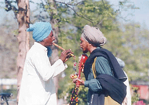 Folk artists show their skills at the fourth Punjabi folk music festival on the Punjabi University campus in Patiala on Tuesday.  Photo by Subhash Patialvi