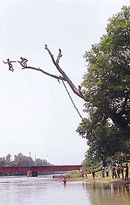 When spring is here can summer be far behind! What better way could there be to ward off the afternoon heat. Children, atop the "wooden diveboard", enjoy a cool dip in a canal near Chandigarh