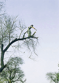 March 8 is International Womens Day. Women have scaled new heights, and are ahead of men in several fields. But isnt this height a bit too much? 