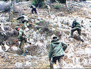 Special Operation Group of police, Ganderbal unit, fanned out in Badergund forest on the outskirts of Srinagar to trace out militants and their hideouts. The operation was launched in the forest following a militant attack on an army camp in Ganerbal last week