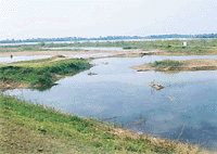 A view of the silted portion of Sukhna Lake, which has been recently surveyed. It is in this portion that wet dredging would be taken up by the Dredging Corporation of India, probably during the next financial year