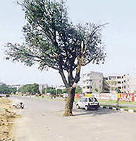 Woes of Modern Housing residents