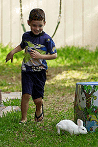 Elian Gonzalez chases his pet rabbit Esperanza, which means "hope" in Spanish, as he plays in the backyard of his relative's home on Saturday, in Miami. Gonzalez's Miami relatives are no longer are willing to hand over the 6-year-old boy to his father if he comes to Florida from Cuba to await the outcome of their court appeal to keep the boy in the United States