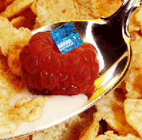 A new, cutting-edge computer chip from IBM, sits in a spoonful of ceral and fruit in a handout photo from IBM