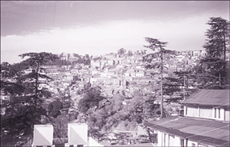 The concrete jungle encroaches on the forest area under the Shimla Municipal Corporation