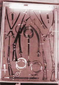 Guru Gobind Singhs weapons, currently lying in the Paonta Sahib gurdwara, will be on display during the tercentenary celebrations at Yamunanagar