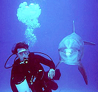   BAHAMAS : Dolphin trainer Will Ast with Romballa, a trained dolphin, approach a group of tourists taking part in a scuba encounter near Port Lucaya, Bahamas. The scuba encounter is part of the Dolphin Experience, which offers a chance to swim with the beloved marine mammals in the open ocean. AP/PTI