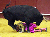 Bullfighter Juan Mora lies on the ground as the bull steps on him as it tries to gore him during a bullfight in Madrid Friday April 14, 2000. Mora was taken to hospital with several broken ribs