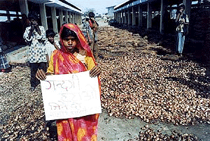 Onion supplied from Maharashtra roting in Bazar Samitee, Patna for the failure of distribution by the authority that created stench in the surrounding areas on Sunday