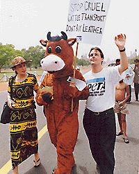 Activists of People for the Ethical Treatment of Animals demonstrate at the Boat Club in New Delhi on Friday demanding protection of animals.