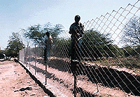 Work on chain link fencing of the forest area adjoining Industrial Area in Chandigarh in progress.