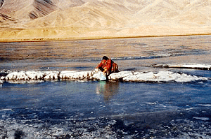 While Gujarat fights drought, this woman in Demchok, near Ladakh, on the Indo-China border breaks snow in the middle of Indus river to fetch water for daily chores. This photo was taken by Tarun Vijay for his forthcoming book on Indus.