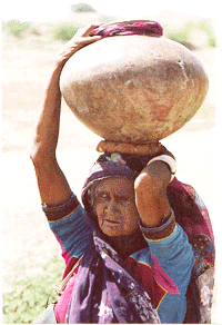 All the family members including the old participate in water collection in the interiors of Saurashtra about100 kms Rajkot city