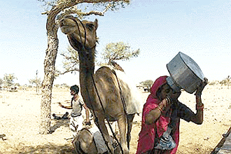 A woman quenching her thirst after drawing gallons of water in Tamlor village near Indo-Pak border
