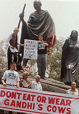 Ingrid Newkirk President of people for the Ethical Treatment of Animals (PETA) starts a International fast to stop the cruel treatment of cattle, by India's illegal leather trade in New Delhi at Gandhi's statue on thursday
