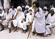 Beneficiaries under the pension scheme wait for their turn for re-verification outside the tehsil office (left) while a few senior citizens gather around the solitary tap to quench their thirst while waiting for their turn at the Mini-Secretariat in Sector 1 of Panchkula on Thursday (right)