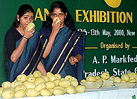 Two women sniff mangoes at a New Delhi mango festival on Friday held to promote the fruit.