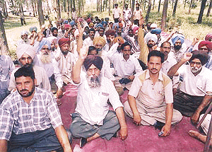 Members of the Technical Services Union, Punjab State Electricity Board, at a rally in support of their demands in zirakpur on Tuesday